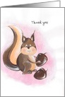 Thank you ~ Squirrel card