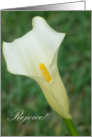 Calla Lily Easter card