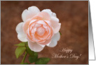 Rose Mother’s Day card