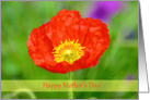 Bright Poppy Flower Mother’s Day card
