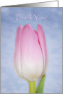 Pink Tulip Thank You card