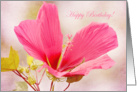 Pink hibiscus Happy Birthday card