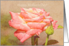 Peach and Cream Rose Happy Mother’s Day card