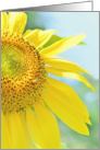 Teacher Appreciation Sunflower card