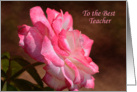 Teacher Appreciation Pink and White Rose card