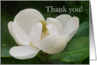 Magnolia Thank you card