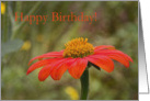 Flower Birthday Card for Friend card