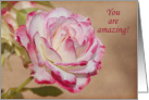 Rose Thank You Card