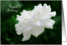 White Rose Sister Birthday Card
