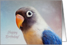 Happy Birthday lovebird card