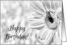 Black and White Daisy Happy Birthday card