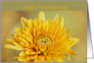 Flower Thanksgiving Card