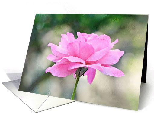 Pink Rose Thank You card (1271240)