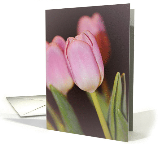 Pink Tulips Thinking of You card (1271626)