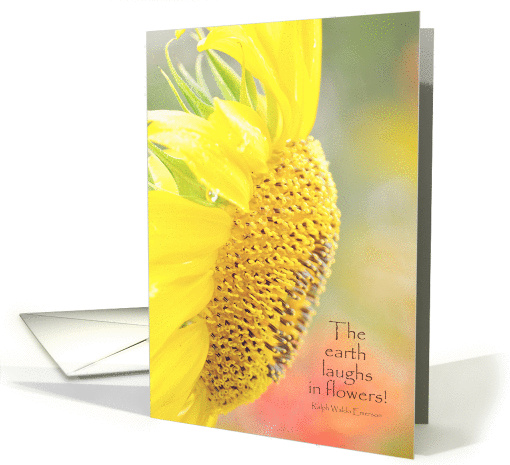 Sunflower Get Well Soon card (1271634)