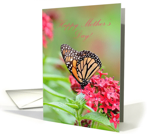 Butterfly on Flower Mother's Day card (1271898)
