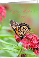 Butterfly on Flower Mother’s Day card