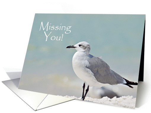 Missing You Seagull on Beach card (1276186)