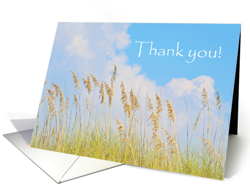 Grass on the beach with blue sky thank you card (1276192)