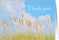 Grass on the beach with blue sky thank you card