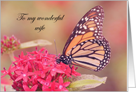 Monarch Butterfly on flowers Mother’s Day card
