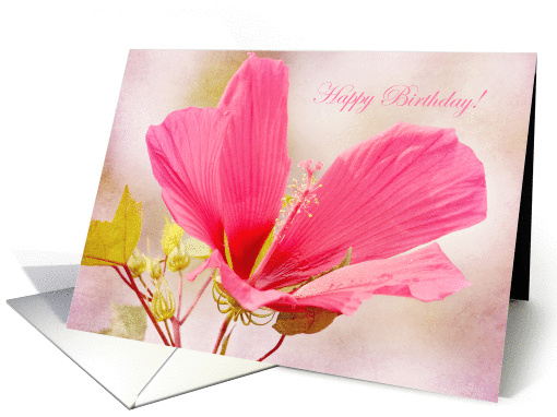 Pink hibiscus Happy Birthday card (1276896)