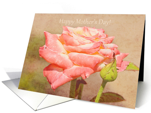 Peach and Cream Rose Happy Mother's Day card (1277072)