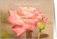 Peach and Cream Rose Happy Mother’s Day card