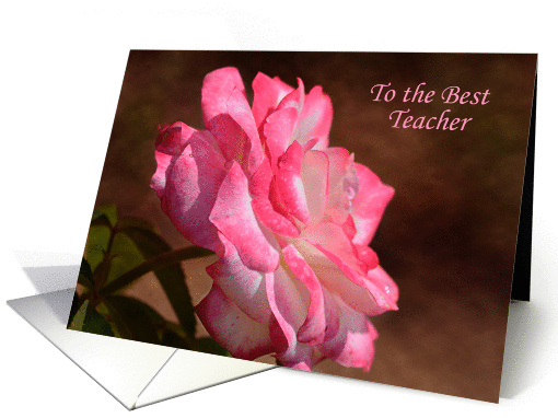 Teacher Appreciation Pink and White Rose card (1277308)