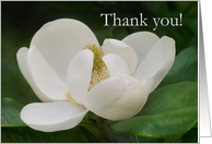Magnolia Thank you card