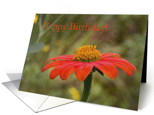 Flower Birthday Card for Friend card (1281146)