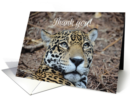 Thank you Jaguar card (1281940)