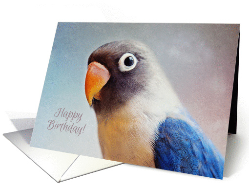 Happy Birthday lovebird card (1281942)