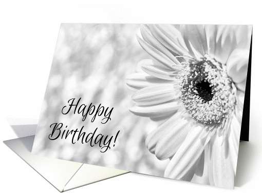Black and White Daisy Happy Birthday card (1281994)