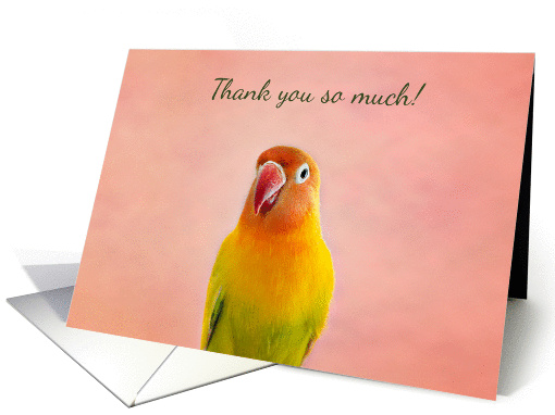 Lovebird Thank You card (1319040)