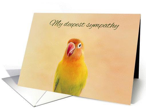 Lovebird Loss of Bird Sympathy card (1319060)