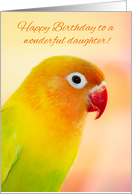 Lovebird Daughter...