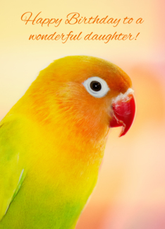 Lovebird Daughter...