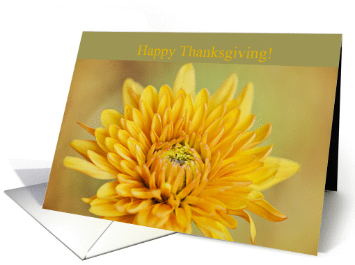 Flower Thanksgiving card (1336798)