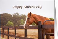 Horse Father’s Day Card