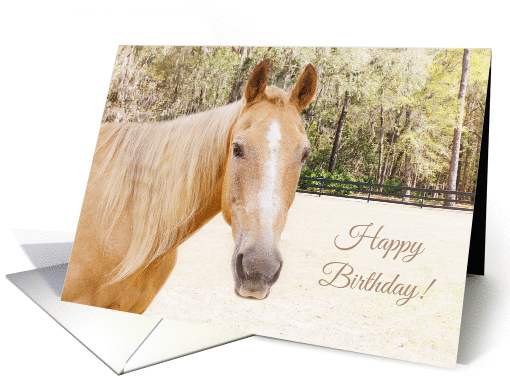 Daughter Horse Birthday card (1374700)