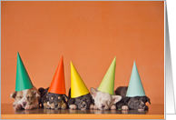 Puppy dogs with birthday hats card