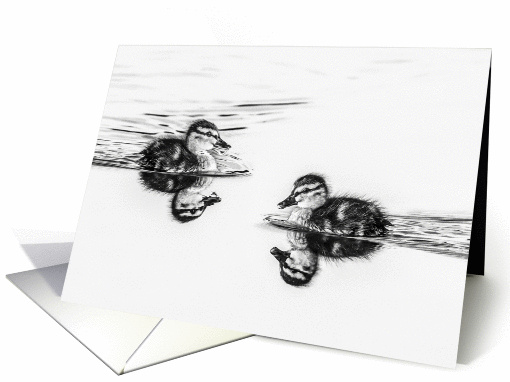 Ducklings card (1280380)