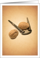 Nutty Crush card