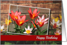 Colorful Flower Birthday Card