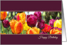 Colorful Purple and Orange Flowers Birthday Card