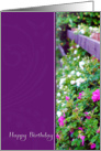 Purple and White Flowers Birthday Card