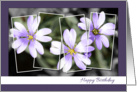 Purple Flower Happy Birthday Card