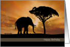 Silhouette Elephant and Tree in Front of a Sunset Birthday Card