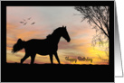 Silhouette Horse in Front of Sunset with Tree and Birds Birthday Card